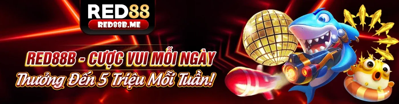Hình ảnh giới thiệu keo8386 win, nền tảng cá cược uy tín hàng đầu