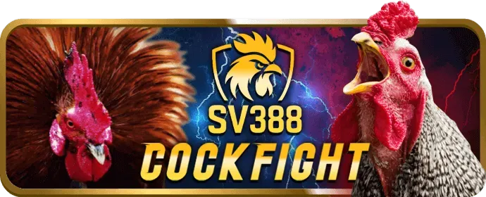 Cấp độ VIP Đồng keo8386 win